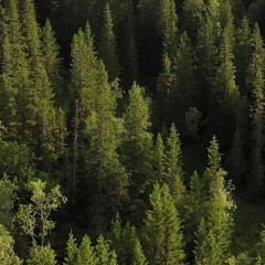 3al we raye2  ..... 2022