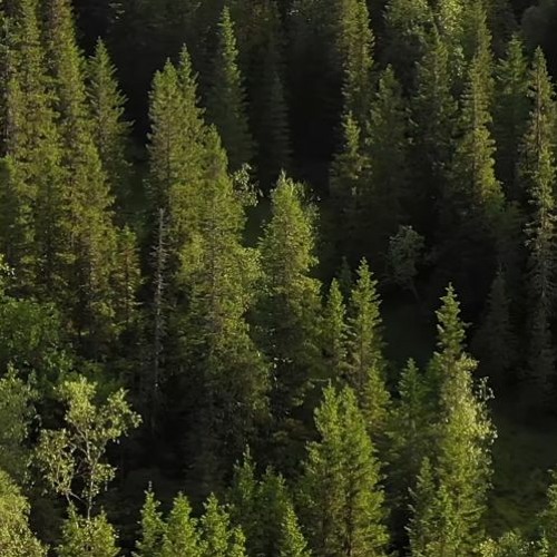 3al we raye2  ..... 2022