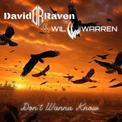 David Raven & Wil Warren - Don't Wanna Know(Feat. Gulsah)