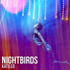 Nightbirds 17