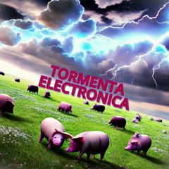 TORMENTA ELECTRONICA - NOVA THE PIG