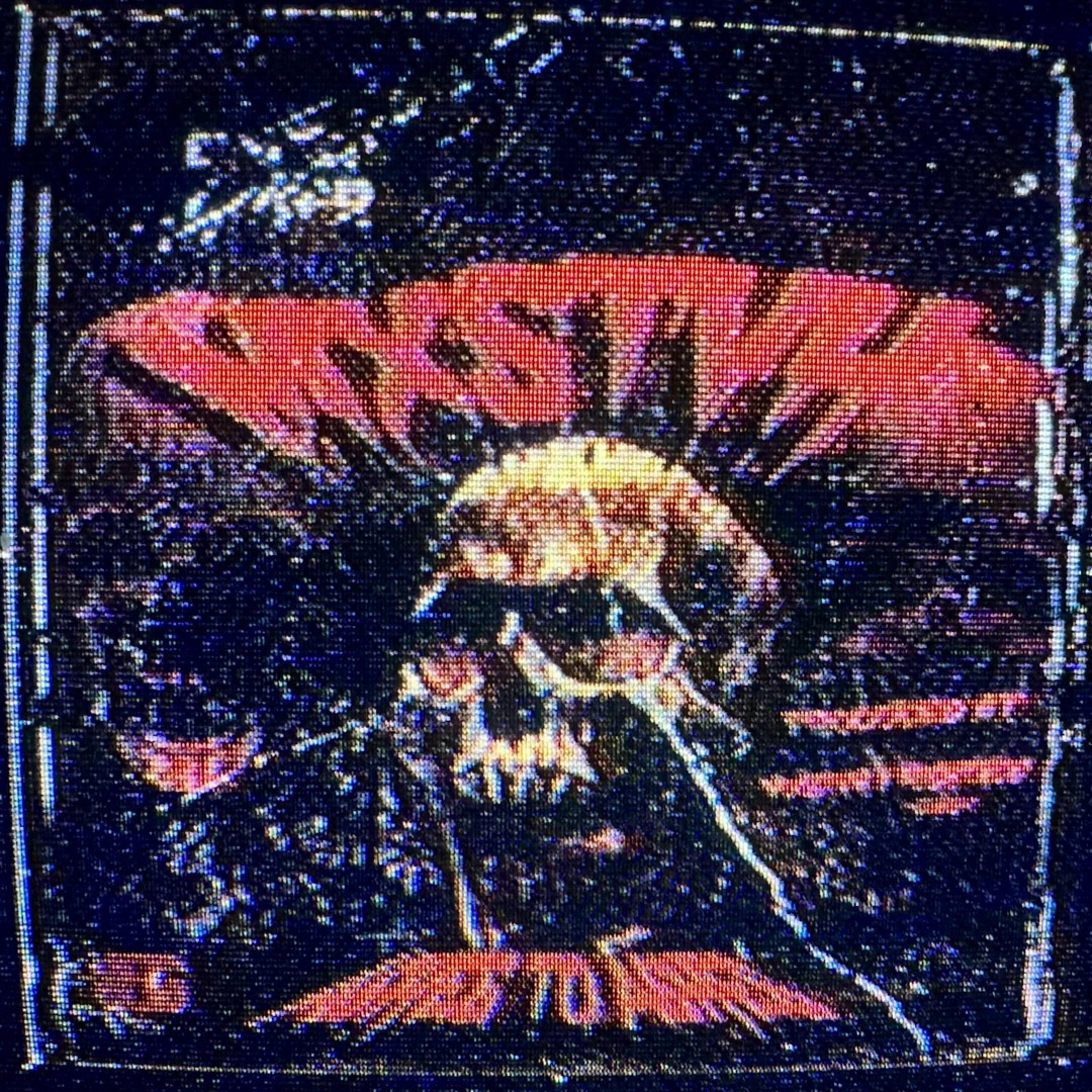 Stream ASHES TO ASHES (PROD. MXSTVH & NIGHTRDD) by MXSTVH | Listen