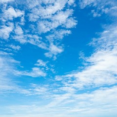 SKY BLUE SKY reprise  du groupe wilco