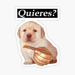 Yung Trappa - ya horoshiy (Flamie & FTTRTL rmx) - FREE DL