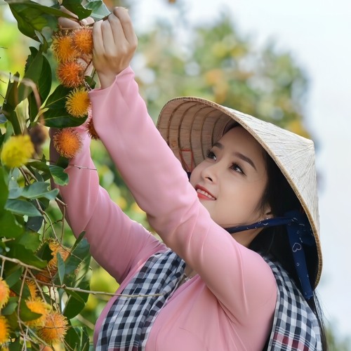 [ ĐẶT ] - Chôm Chôm Lý Qua Phà ( Nguyễn Long )