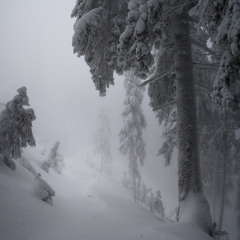 Heaven SHIVA