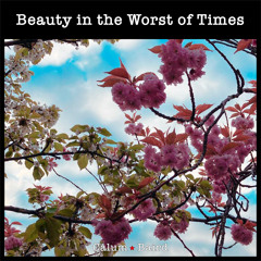 Beauty in the Worst of Times