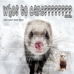 WHOS TO CARE????????? (YOU CANT DENY THIS!)
