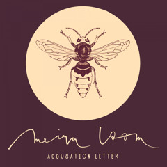 Accusation Letter