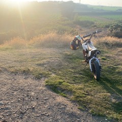 waggy