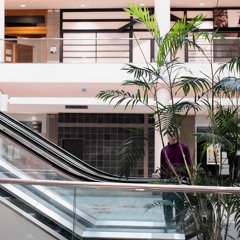 OpenLab Presents: BRIN