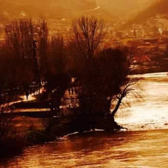 The clarity of the river