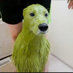 handsoffthewheel (dj babykaho VIP VIP VIP)