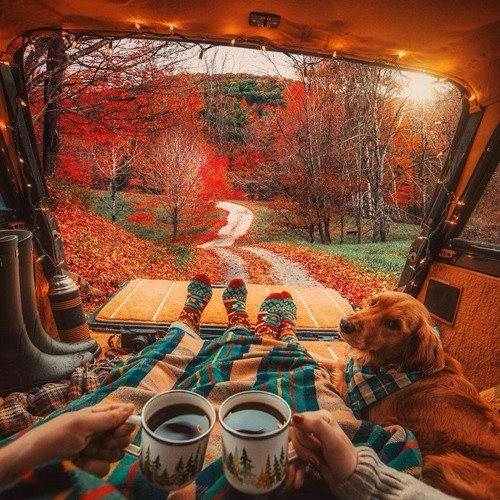 Hamidshax ❤️dreams 🌹by original mix🍁🍁