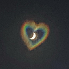 My Heart of Glass