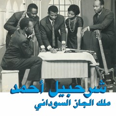 Sharhabil Ahmed - Zulum Aldunya (Habibi Funk 013)