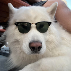 Memorial weekend vibe 2025
