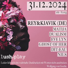 Matija @ lush.play.daydance new year's eve 31.12.2024