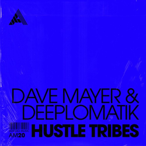 Dave Mayer & Deeplomatik - Hustle Tribes (Extended Mix)
