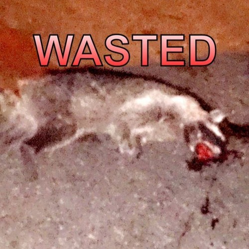 material world//neverendingcycleofshit [Prod. Yago]