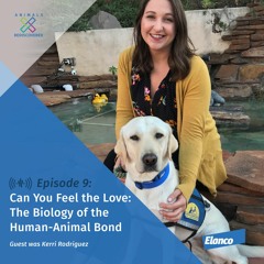 Episode 9: Can You Feel the Love: The Biology of the Human-Animal Bond