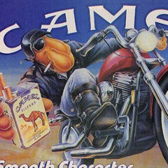 Came