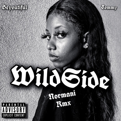 NORMANI - WILDSTYLE (rmx)