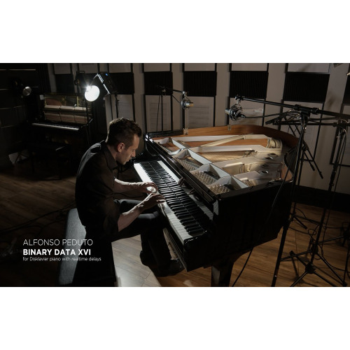 Alfonso Peduto - Binary Data XVI