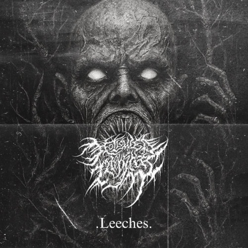 HOLLOWED THOUGHTS : LEECHES