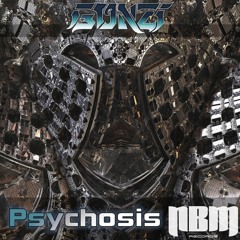 Psychosis (Original Mix)