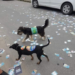 MÚSICA DE BANDIDO .mp3