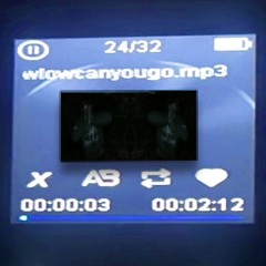 HowLowCanYouGo   ㅤMV IN DESC