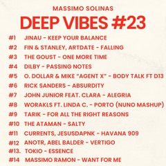 Massimo Solinas - Deep Vibes #23
