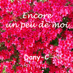 Encore un peu de moi (mix)