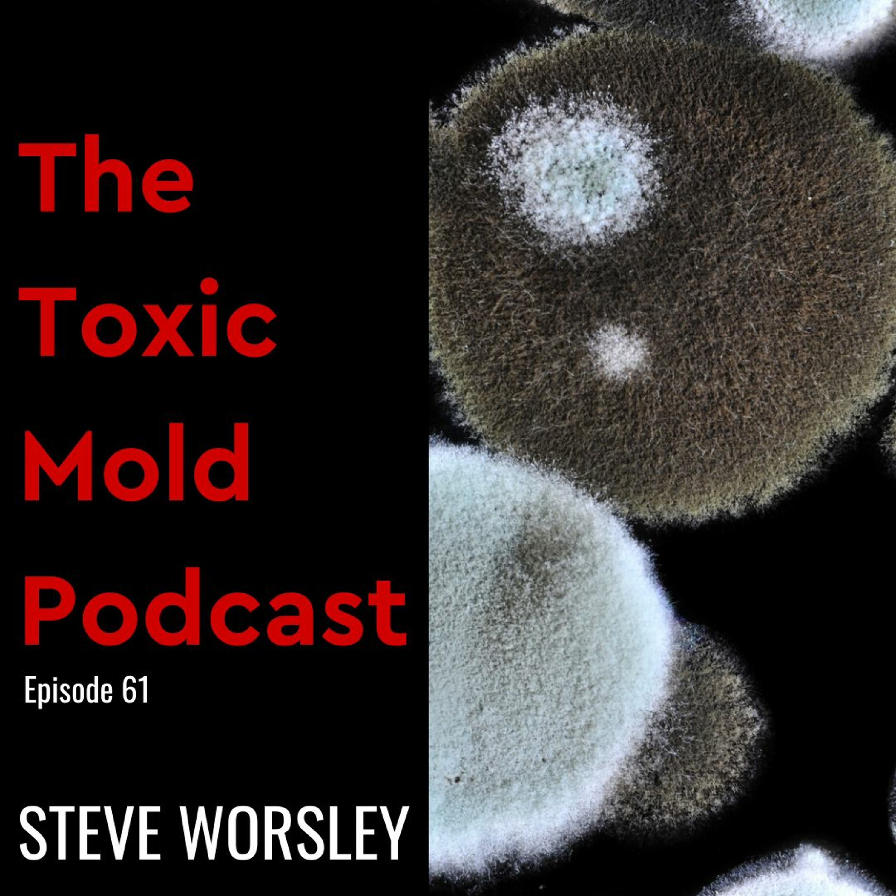 The Toxic Mold Podcast
