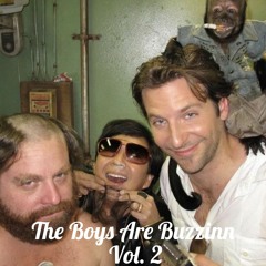 The Boys Are Buzzin Vol. 2