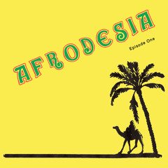 Meet In Tunis
