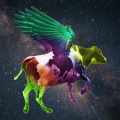Rainbow Flying Cow - DJ SET