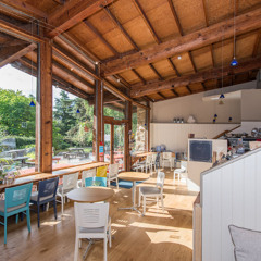 The Phoenix Cafe jingle