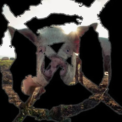 ВЕШАЙТЕСЬ СУКИ.XD