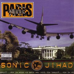 AWOL (feat. Capelton, Dead Prez, Kam & Public Enemy)