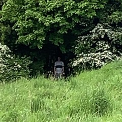 Hot mouth x pretty green eyes (remix)