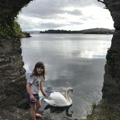 11. Have you met Pauli