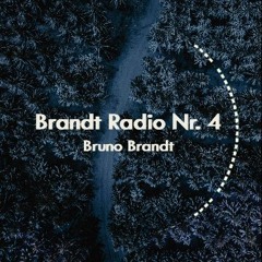 Brandt Radio Nr.4