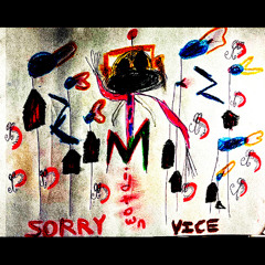 Sorry-Justin Bieber (A Midtown Vice Remix)