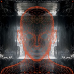 EVOC071 - Billain - Mirror