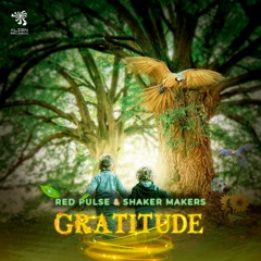 Red Pulse  &  Shaker Makers - Gratitude ★ OUT NOW ON ALIEN RECORDS ★