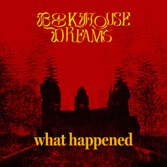What Happened (cut version)