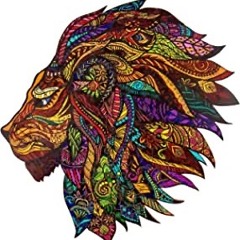 Shalye - CarmeloLoRe