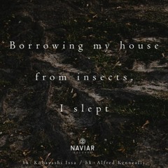 Borrowing My House, For Violin (naviarhaiku374)